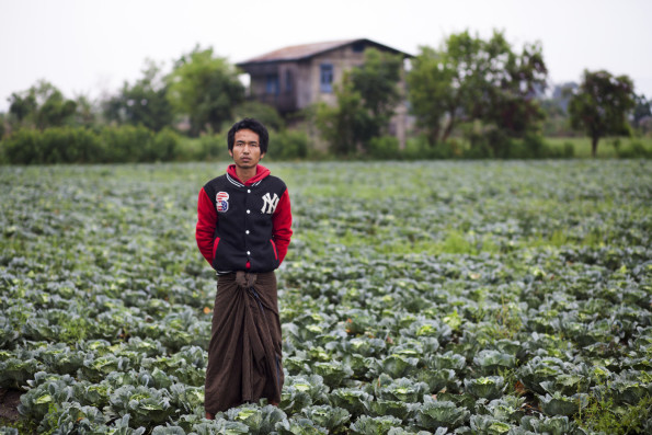 Opens popup gallery with U. Soe Khaing, 26, owns 10 acres of land, of which 7.5 are officially registered (but awaiting a land use certificate) and approximately 2.5 are currently contested - his aunt is trying to register the land in her own name. Pat Nan Village, Taung Lay Lone Village Tract, Myanmar. Photograph by Bremen Donovan.